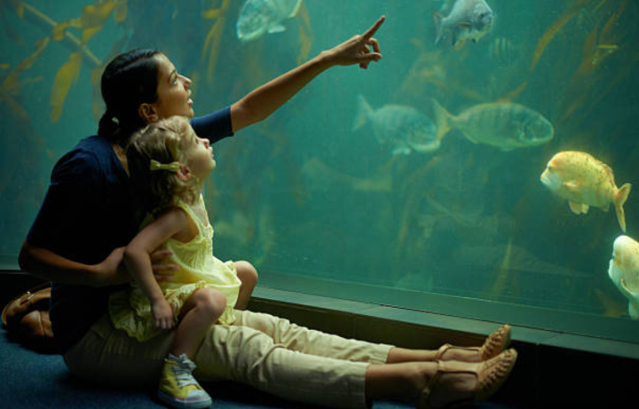 Best Aquarium in Texas